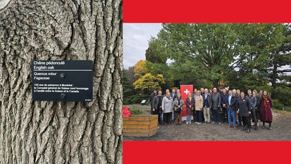 Montage photo jardin botanique plaque commémorative